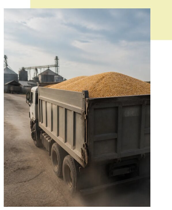 Перевозка сельхозпродукции навалом в Истру по цене от 3048 р. | Агросервис-Ста